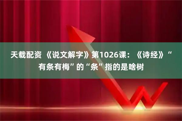 天载配资 《说文解字》第1026课：《诗经》“有条有梅”的“条”指的是啥树